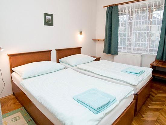 Pension Apartment Granit プラハ 部屋 写真