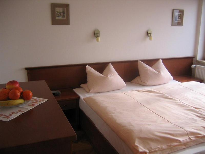 Pension Apartment Granit プラハ 部屋 写真