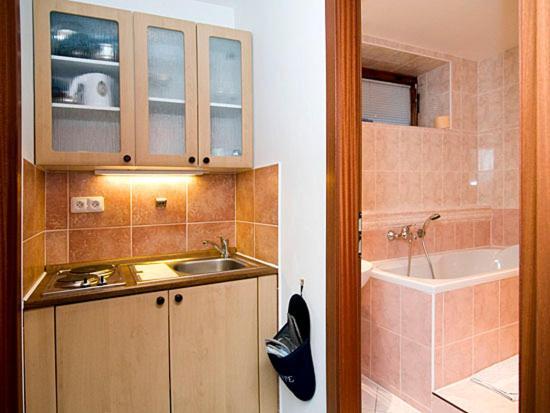 Pension Apartment Granit プラハ 部屋 写真