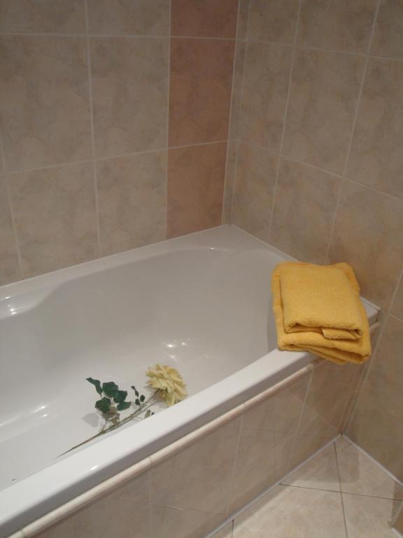 Pension Apartment Granit プラハ 部屋 写真