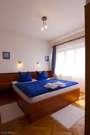 Pension Apartment Granit プラハ エクステリア 写真